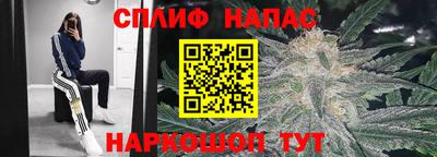 ГАЛЛЮЦИНОГЕННЫЕ ГРИБЫ Рязань