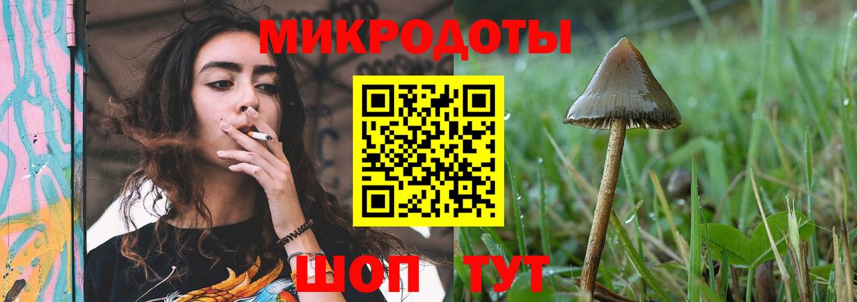 Псилоцибиновые грибы Psilocybe  Вход с VPN  Советск  Псилоцибиновые грибы Psilocybine cubensis 