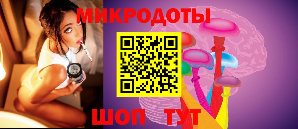 Псилоцибиновые грибы Psilocybine cubensis Советск